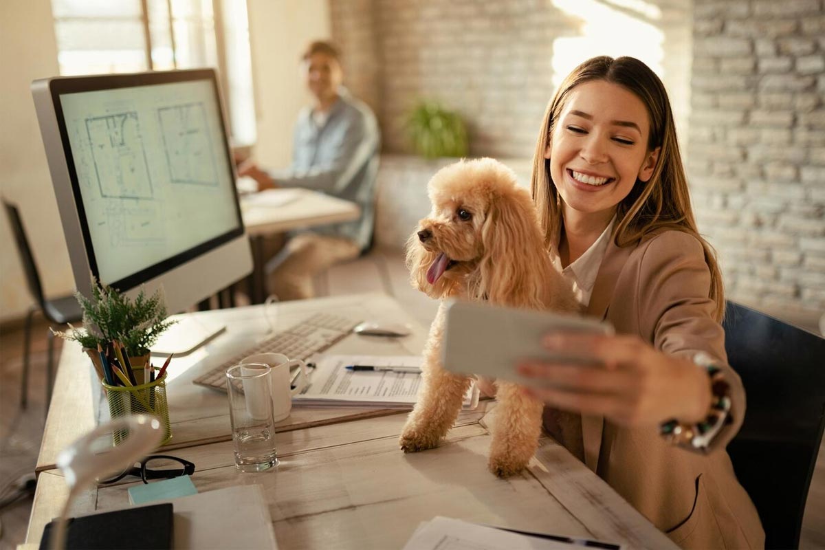 How To Win Clients And Influence Markets with DOGS