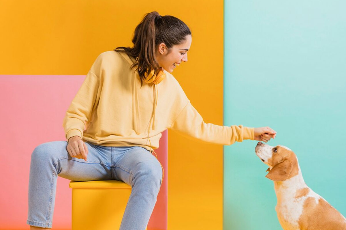 Ways You Can Reinvent DOGS Without Looking Like An Amateur