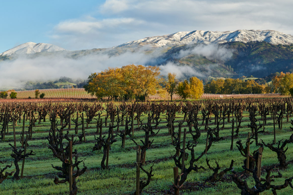 Alexander Valley opens its gates with new wine week this September