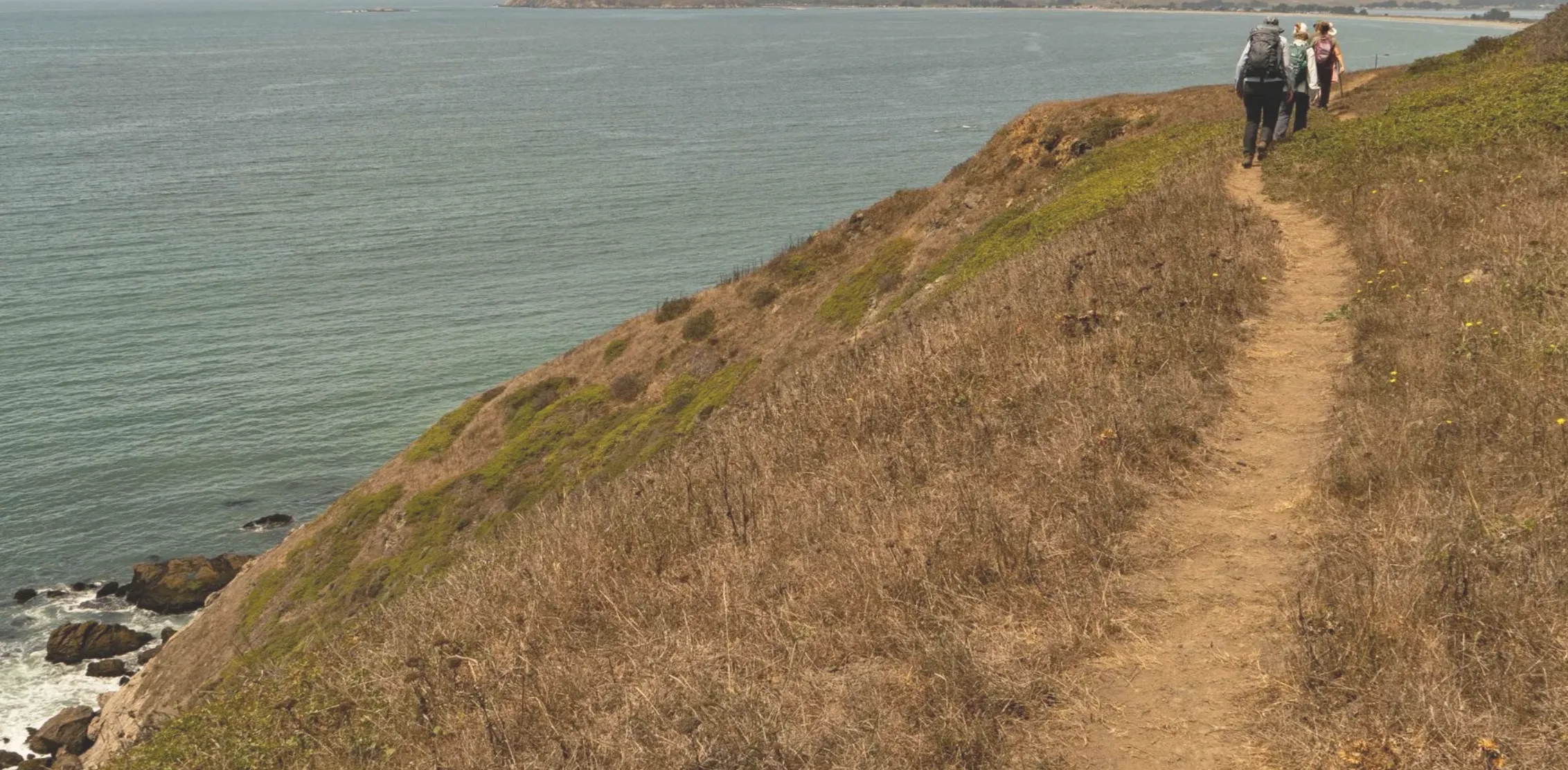 Screenshot 2026 03 08 at 3.49.28 AM