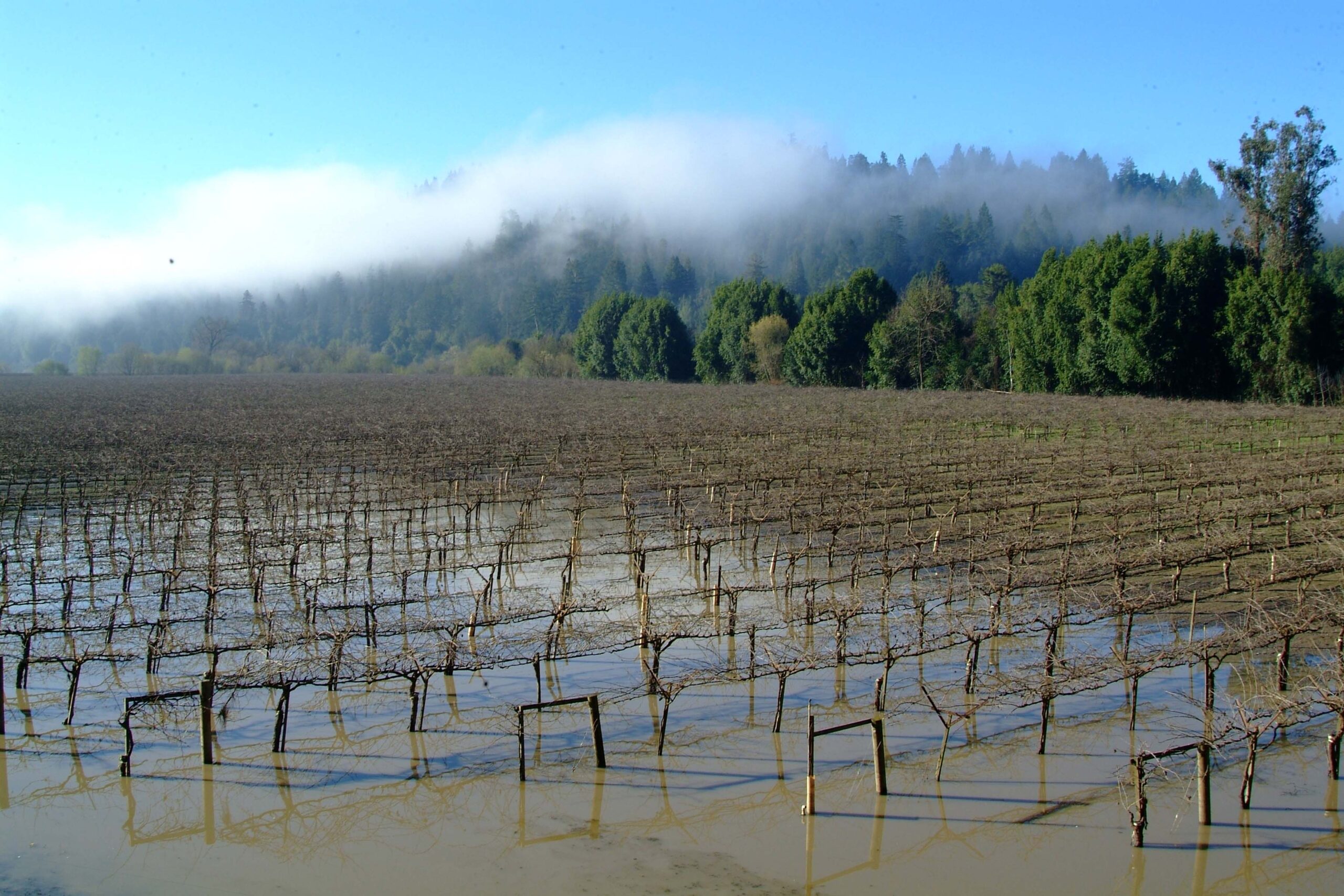 Environmental group threatens lawsuit over 5.5-million-gallon sewage spill into Russian River