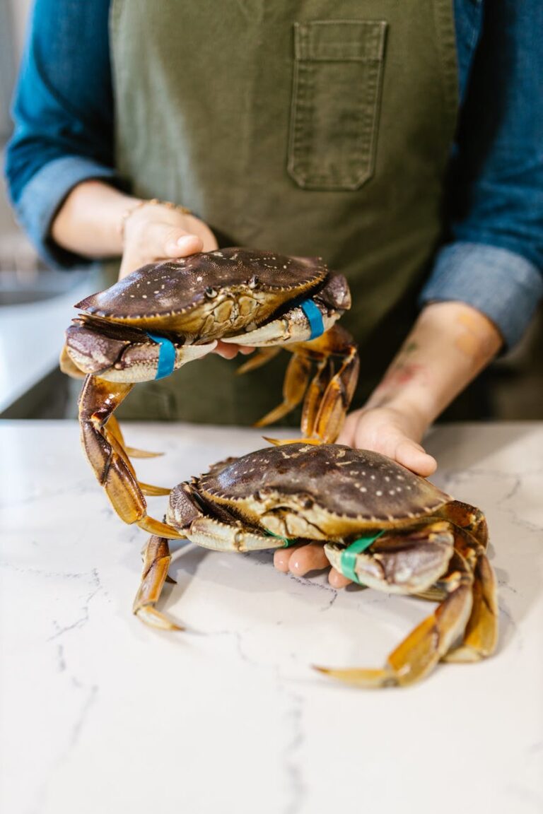 chef showing off crabs to camera