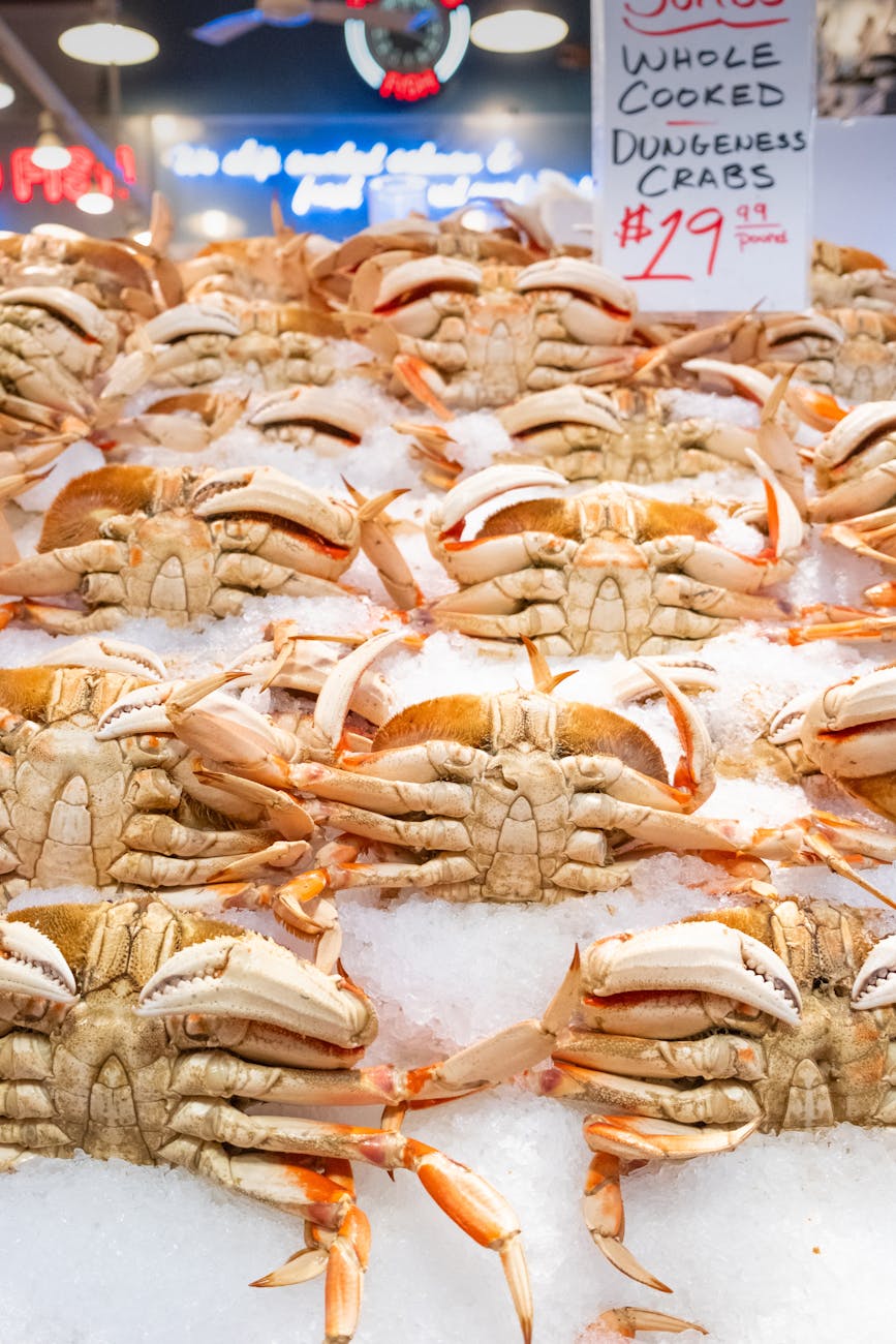 crabs in ice on store display