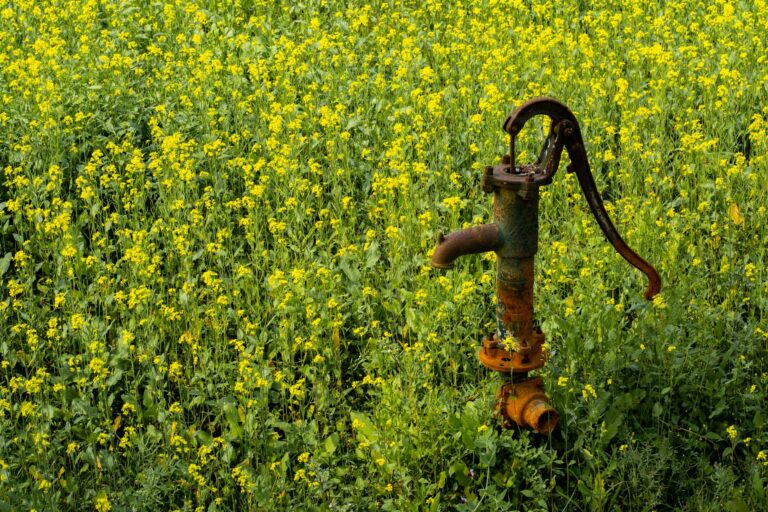 a rusty hand pump in a field of flowers