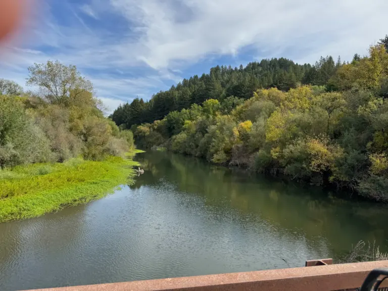 Russian river at oddfellows